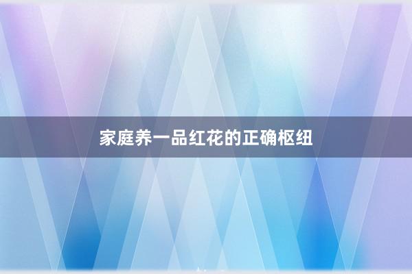 家庭养一品红花的正确枢纽
