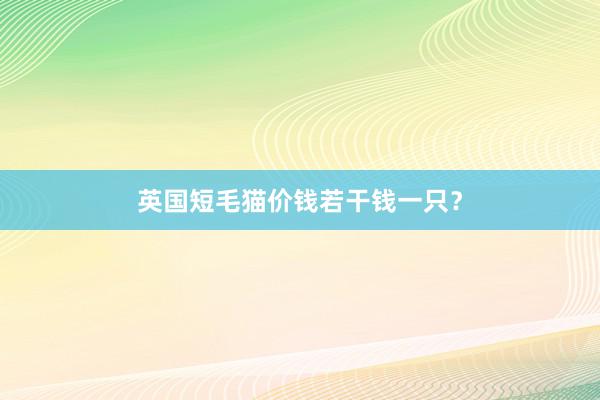 英国短毛猫价钱若干钱一只？