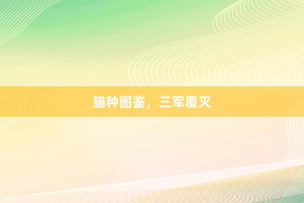 猫种图鉴，三军覆灭